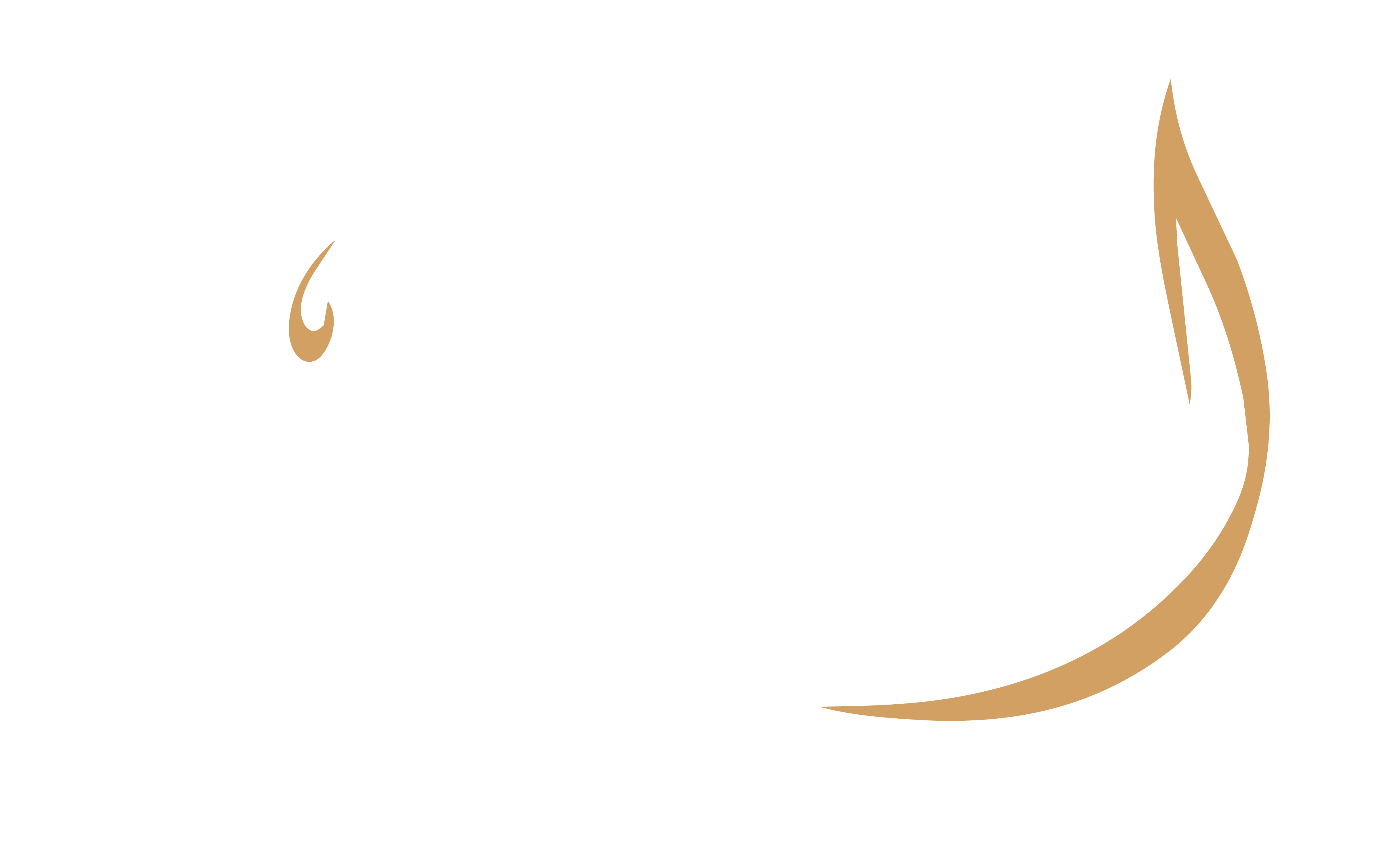 صالون الفاضل الأدبي